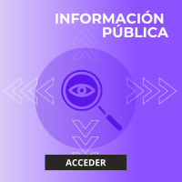 Post para Instagram Curso online de idiomas Moderno Gris (2)